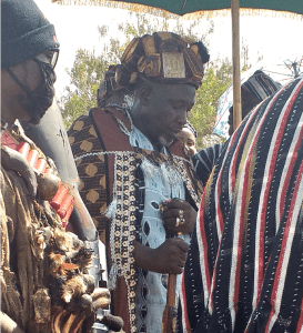 indigenous2
