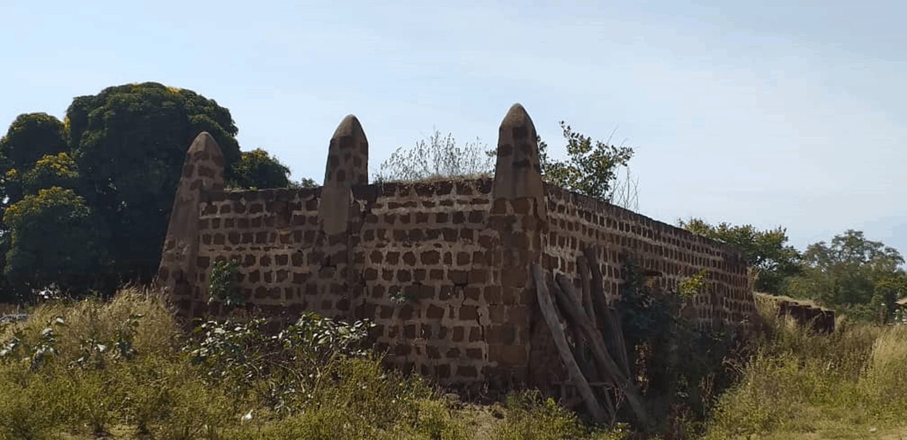 palaceredev