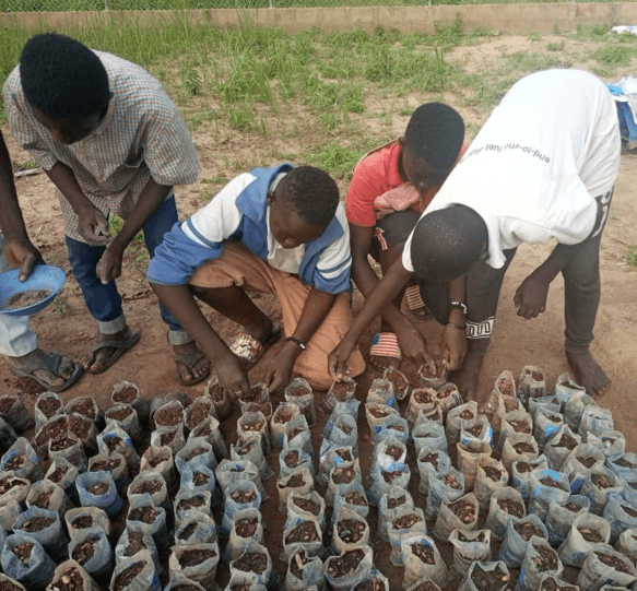 Boys from Sawla planting seeds into recycled clean water plastics that kids collected from Sawla streets 